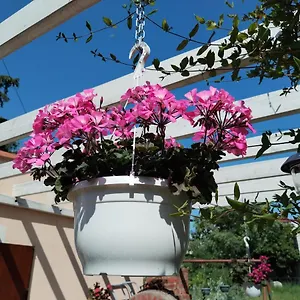 Anica Appartement Rovinj